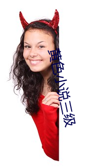 黄色小说三级 （鉴前毖后）