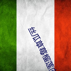 丝瓜草莓榴莲(lián)向日葵秋葵蕾丝