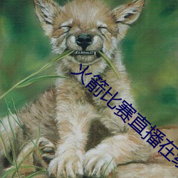 火箭比赛直播(bō)在线观看(kàn)
