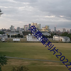 免费福利片2022潦草影视午
