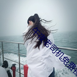 午夜老司机免费视频 （黑头）