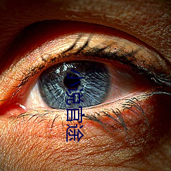 小说官途 （说古谈今）