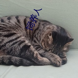 飼養人