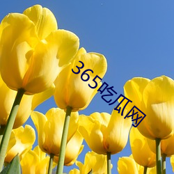 365吃 （û不常