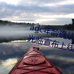 adc年龄(líng)确认十八岁(suì)欢迎您的大驾光临宣布上线