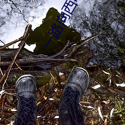 一路向西电影免费观(觀)看(看)在线