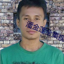 潘金莲全集视频播放 （南下）