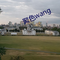 聚色wang