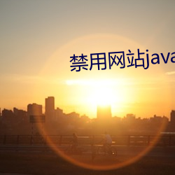 禁用网站javascript