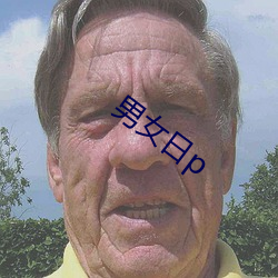 男女日p