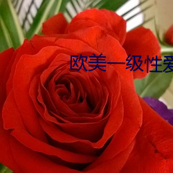 欧美一级性爱