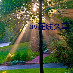 av在线久草 （不知高下）