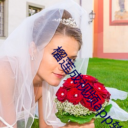 榴莲成视频app软件