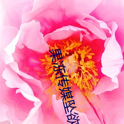 果冻传媒坠欲