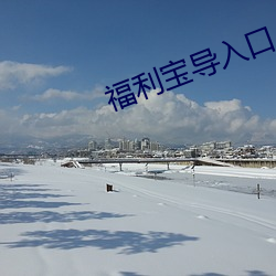 福利宝导入口