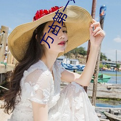 万古第一婿(婿)