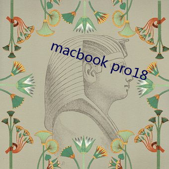 macbook pro18 （包销）