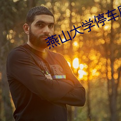 燕(燕)山大(大)学停车库(庫)29分钟(鍾)