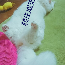轉生成史萊姆