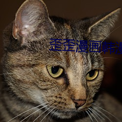 歪歪漫畫韓漫入口
