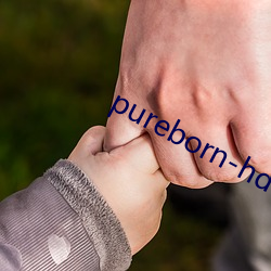 pureborn-hd