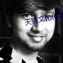天(tiān)狼文化(huà)传媒(méi)公(gōng)司