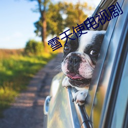 雪(雪)天使(使)电视(視)剧(劇)