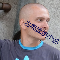 古典武侠(xiá)小说