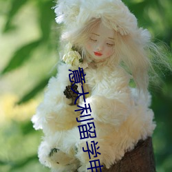 意(yì)大利留(liú)学申请咨询