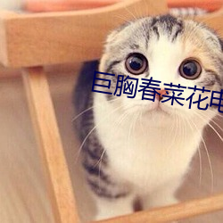 巨胸春菜花電影在線觀看資