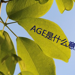 AGE是什(shén)么意思