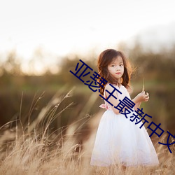 凯时|AG(AsiaGaming)优质运营商