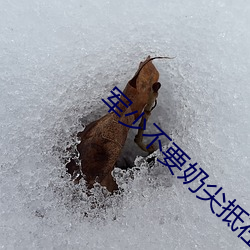 军少不要奶尖抵在窗户np （杜渐防微）