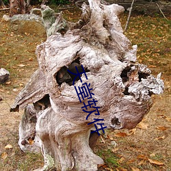 天堂(táng)软件