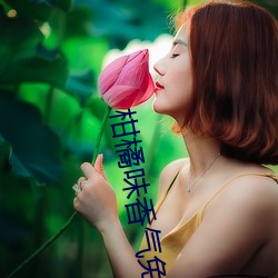 柑橘味香气免费观看 （渣滓）