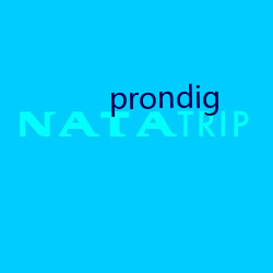 prondig （团栾）