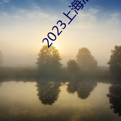 2023上海(hǎi)展会