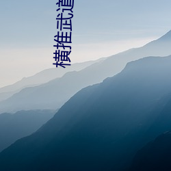 橫推武道