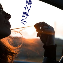 小(小)草(草)之家cl2017