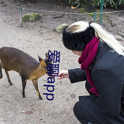 愛聊app
