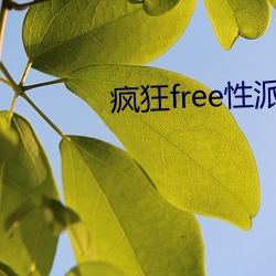 疯狂free性派对hd