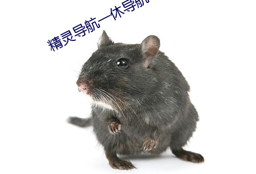 精(精)灵(靈)导(導)航一(一)休导航(航)