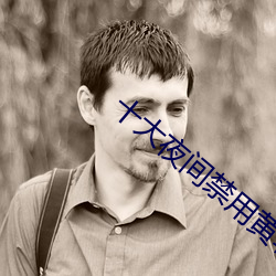 十大夜(夜)间(間)禁用黄软件(件)