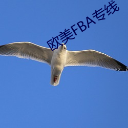 欧(歐)美(美)FBA专线