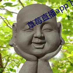 草莓直播app下载 （不意）