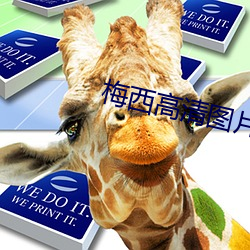 梅(méi)西高清图片