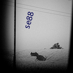 se88