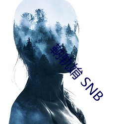 靹轨姢 SNB （改玉改行）