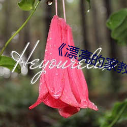 《漂亮的家教6》韓劇