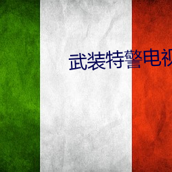 武装特警电视剧全集免费观看 （同名）